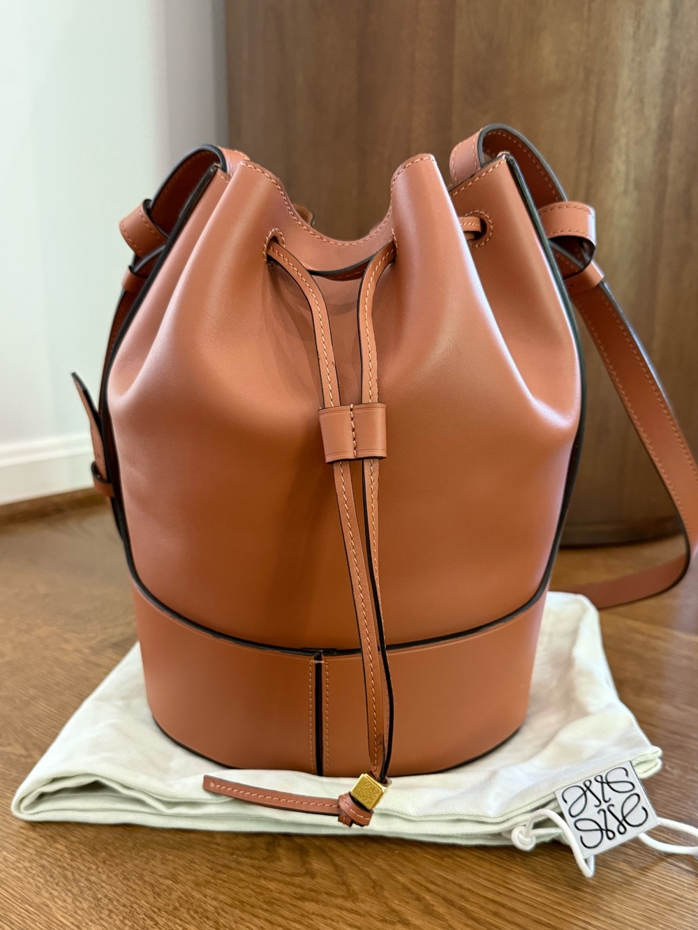 Loewe Balloon Bag